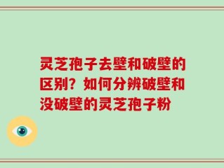 灵芝孢子去壁和破壁的区别？如何分辨破壁和没破壁的灵芝孢子粉