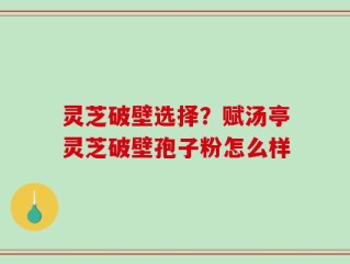 灵芝破壁选择？赋汤亭灵芝破壁孢子粉怎么样