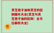 灵芝孢子油和灵芝的区别图片大全(灵芝与灵芝孢子油的区别：全方位解析大全)