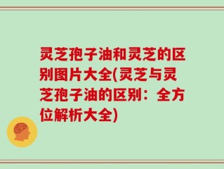 灵芝孢子油和灵芝的区别图片大全(灵芝与灵芝孢子油的区别：全方位解析大全)