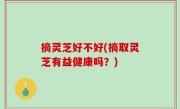 摘灵芝好不好(摘取灵芝有益健康吗？)