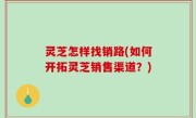 灵芝怎样找销路(如何开拓灵芝销售渠道？)