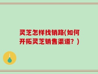 灵芝怎样找销路(如何开拓灵芝销售渠道？)