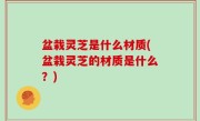 盆栽灵芝是什么材质(盆栽灵芝的材质是什么？)