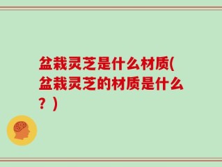 盆栽灵芝是什么材质(盆栽灵芝的材质是什么？)