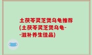 土茯苓灵芝煲乌龟推荐(土茯苓灵芝煲乌龟--滋补养生佳品)