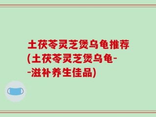 土茯苓灵芝煲乌龟推荐(土茯苓灵芝煲乌龟--滋补养生佳品)