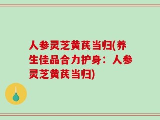人参灵芝黄芪当归(养生佳品合力护身：人参灵芝黄芪当归)