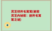 灵芝切开毛茸茸(解密灵芝内秘密：剖开毛茸茸之谜)