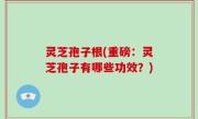 灵芝孢子根(重磅：灵芝孢子有哪些功效？)