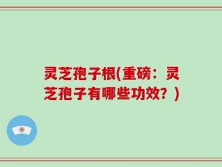 灵芝孢子根(重磅：灵芝孢子有哪些功效？)