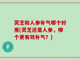 灵芝和人参补气哪个好用(灵芝还是人参，哪个更有效补气？)