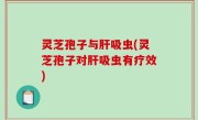 灵芝孢子与肝吸虫(灵芝孢子对肝吸虫有疗效)