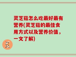 灵芝菇怎么吃最好最有营养(灵芝菇的最佳食用方式以及营养价值，一文了解)