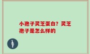 小孢子灵芝蛋白？灵芝孢子是怎么样的