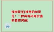 找树灵芝(神奇的树灵芝：一种具有药用价值的自然灵菌)