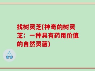 找树灵芝(神奇的树灵芝：一种具有药用价值的自然灵菌)