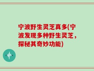 宁波野生灵芝真多(宁波发现多种野生灵芝，探秘其奇妙功能)