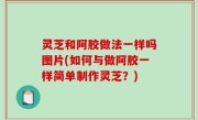 灵芝和阿胶做法一样吗图片(如何与做阿胶一样简单制作灵芝？)