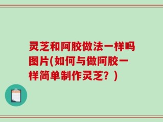 灵芝和阿胶做法一样吗图片(如何与做阿胶一样简单制作灵芝？)