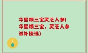 华星煨三宝灵芝人参(华星煨三宝，灵芝人参滋补佳选)