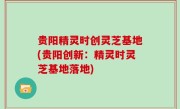 贵阳精灵时创灵芝基地(贵阳创新：精灵时灵芝基地落地)