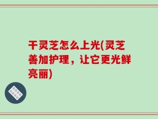 干灵芝怎么上光(灵芝善加护理，让它更光鲜亮丽)