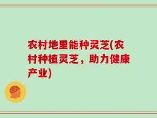 农村地里能种灵芝(农村种植灵芝，助力健康产业)