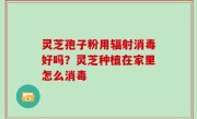 灵芝孢子粉用辐射消毒好吗？灵芝种植在家里怎么消毒