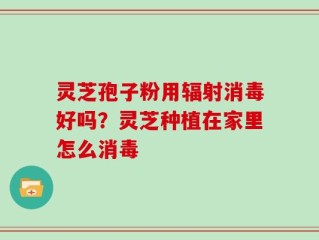 灵芝孢子粉用辐射消毒好吗？灵芝种植在家里怎么消毒