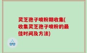灵芝孢子喷粉期收集(收集灵芝孢子喷粉的最佳时间及方法)