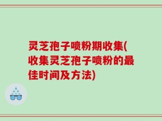 灵芝孢子喷粉期收集(收集灵芝孢子喷粉的最佳时间及方法)