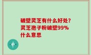 破壁灵芝有什么好处？灵芝孢子粉破壁99%什么意思