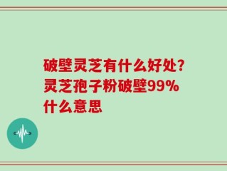 破壁灵芝有什么好处？灵芝孢子粉破壁99%什么意思
