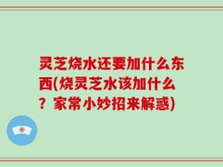 灵芝烧水还要加什么东西(烧灵芝水该加什么？家常小妙招来解惑)