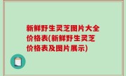 新鲜野生灵芝图片大全价格表(新鲜野生灵芝价格表及图片展示)