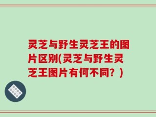 灵芝与野生灵芝王的图片区别(灵芝与野生灵芝王图片有何不同？)