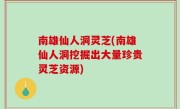 南雄仙人洞灵芝(南雄仙人洞挖掘出大量珍贵灵芝资源)
