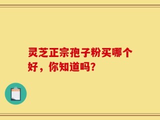 灵芝正宗孢子粉买哪个好，你知道吗？