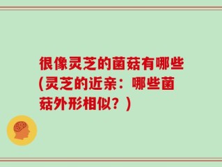 很像灵芝的菌菇有哪些(灵芝的近亲：哪些菌菇外形相似？)