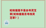 蛇和猪是不是会寻灵芝草(蛇和猪是否寻找灵芝草？)