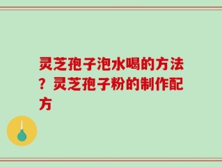 灵芝孢子泡水喝的方法？灵芝孢子粉的制作配方