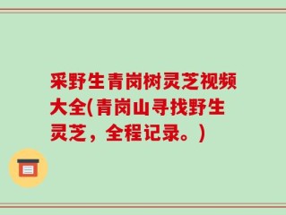 采野生青岗树灵芝视频大全(青岗山寻找野生灵芝，全程记录。)