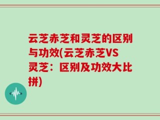 云芝赤芝和灵芝的区别与功效(云芝赤芝VS灵芝：区别及功效大比拼)