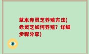 草本赤灵芝养殖方法(赤灵芝如何养殖？详细步骤分享)