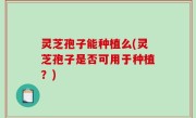 灵芝孢子能种植么(灵芝孢子是否可用于种植？)