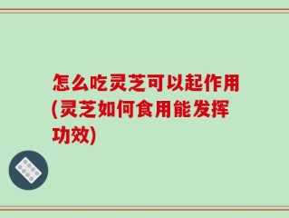 怎么吃灵芝可以起作用(灵芝如何食用能发挥功效)