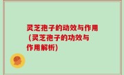灵芝孢子的动效与作用 (灵芝孢子的功效与作用解析)