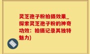 灵芝孢子粉拍摄效果_探索灵芝孢子粉的神奇功效：拍摄记录其独特魅力)