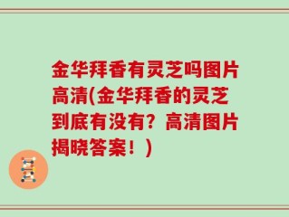 金华拜香有灵芝吗图片高清(金华拜香的灵芝到底有没有？高清图片揭晓答案！)